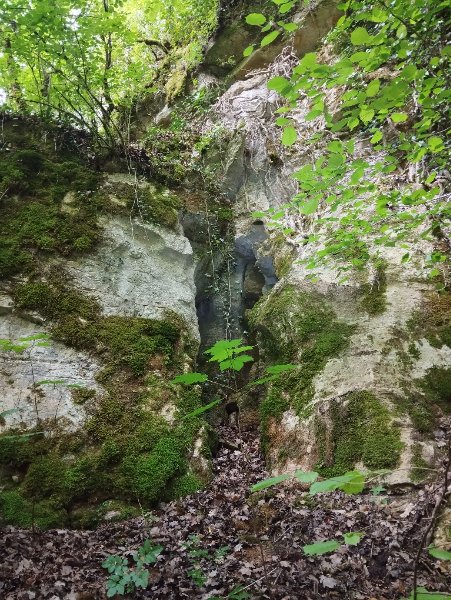 Entrée cavité Bois de Ruère
La grotte s'ouvre dans une ancienne carrière aujourd'hui boisée, dans le Bois de Ruère, à l'intérieur-même de l'enceinte du Parc du château de Barbirey-sur-Ouche.
Fichier manquant